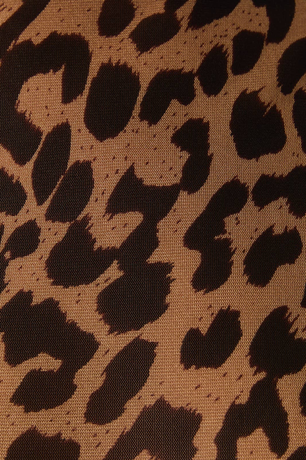 Cheetah Mesh Top