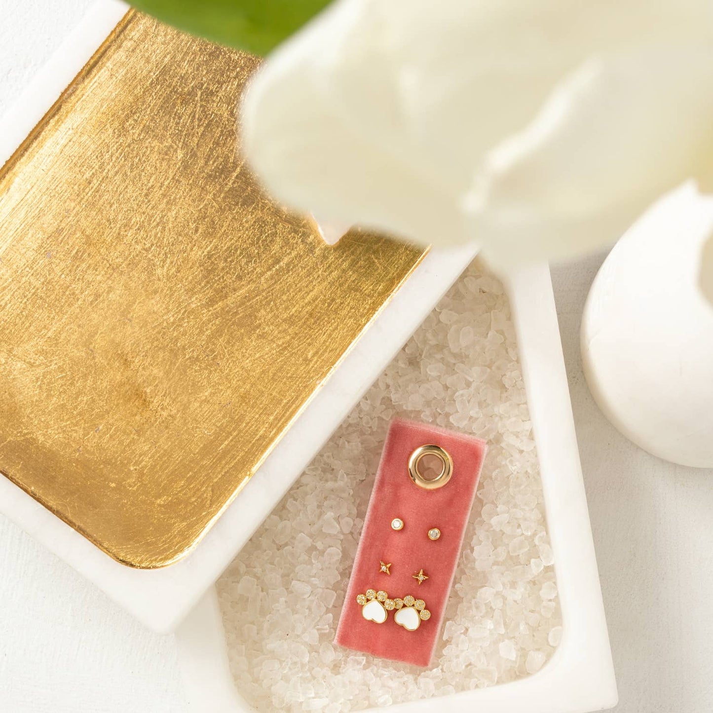 Paw Velvet Stud Gift Set