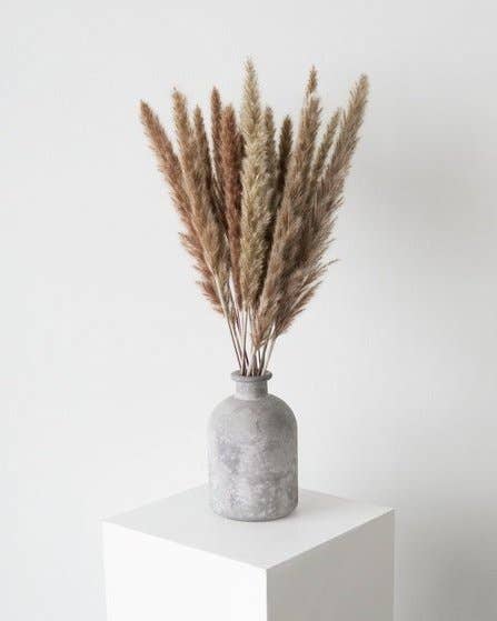 Small Pampas