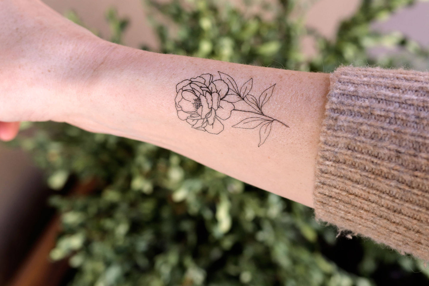 September Birth Flower - Peony Temporary Tattoos