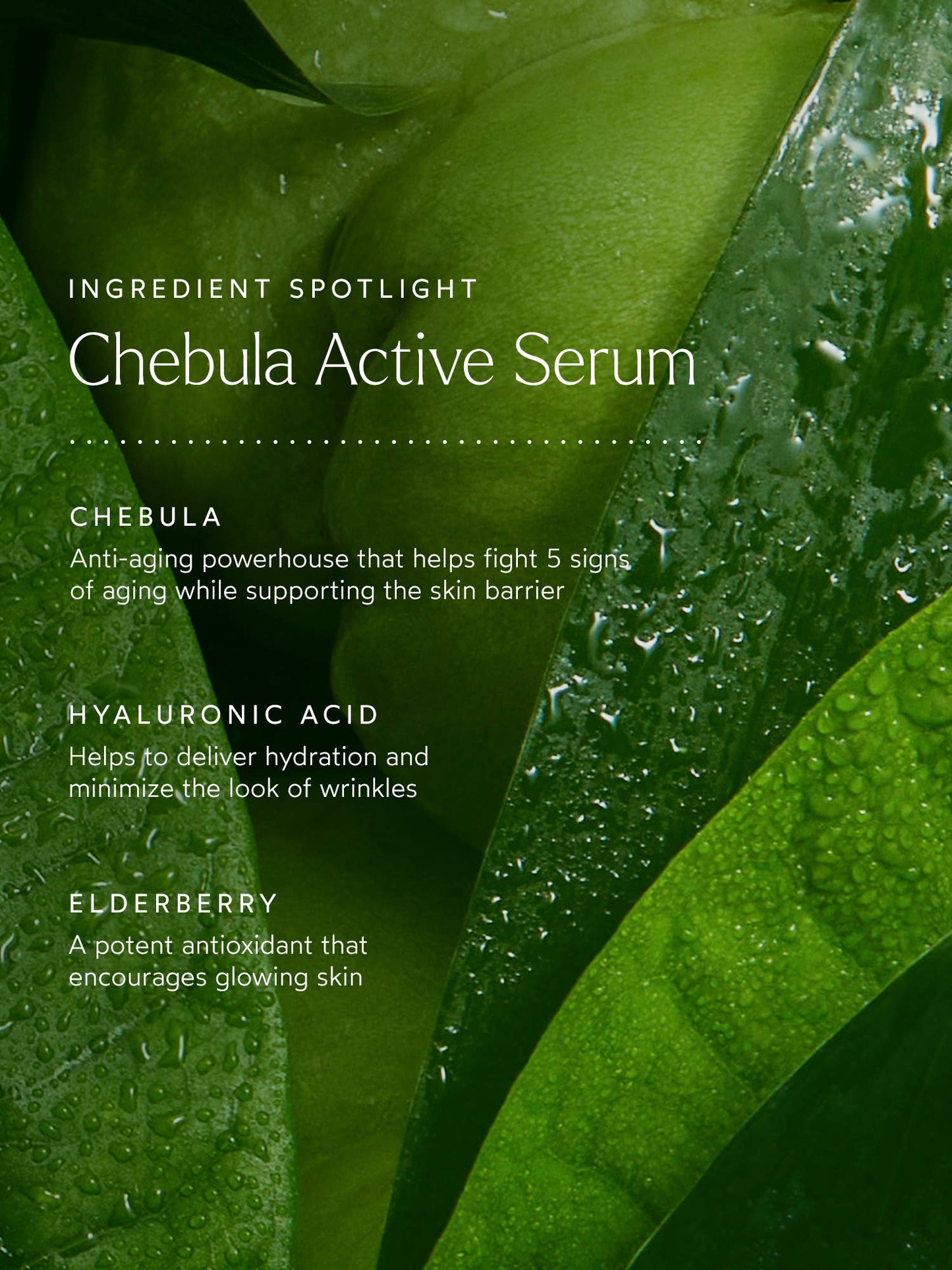 Renew Chebula Active Serum
