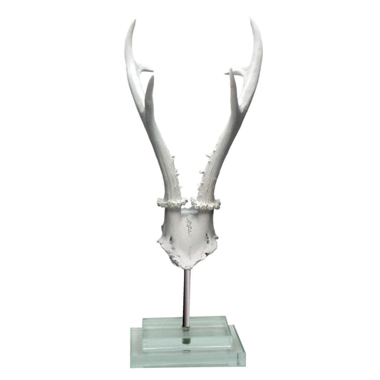 White Antler on  Double Glass Base