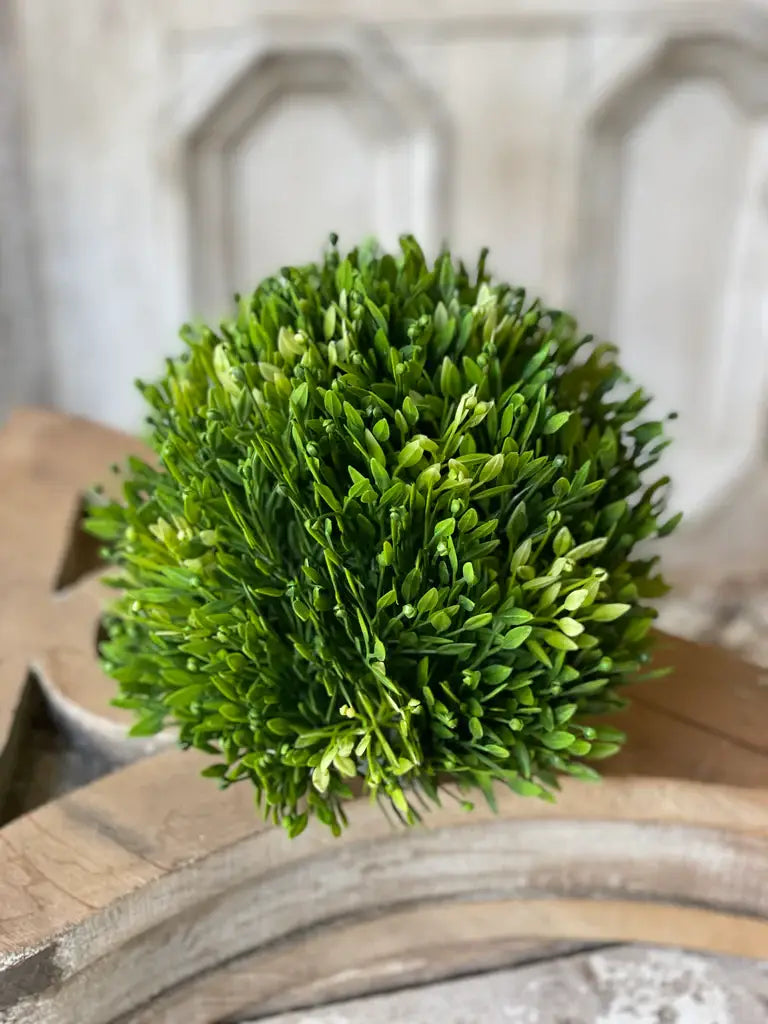 Seed Head Half Sphere | 5.5" Greenery Home Decor