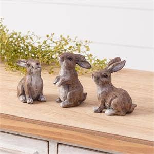Mini Wild Rabbits