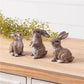 Mini Wild Rabbits