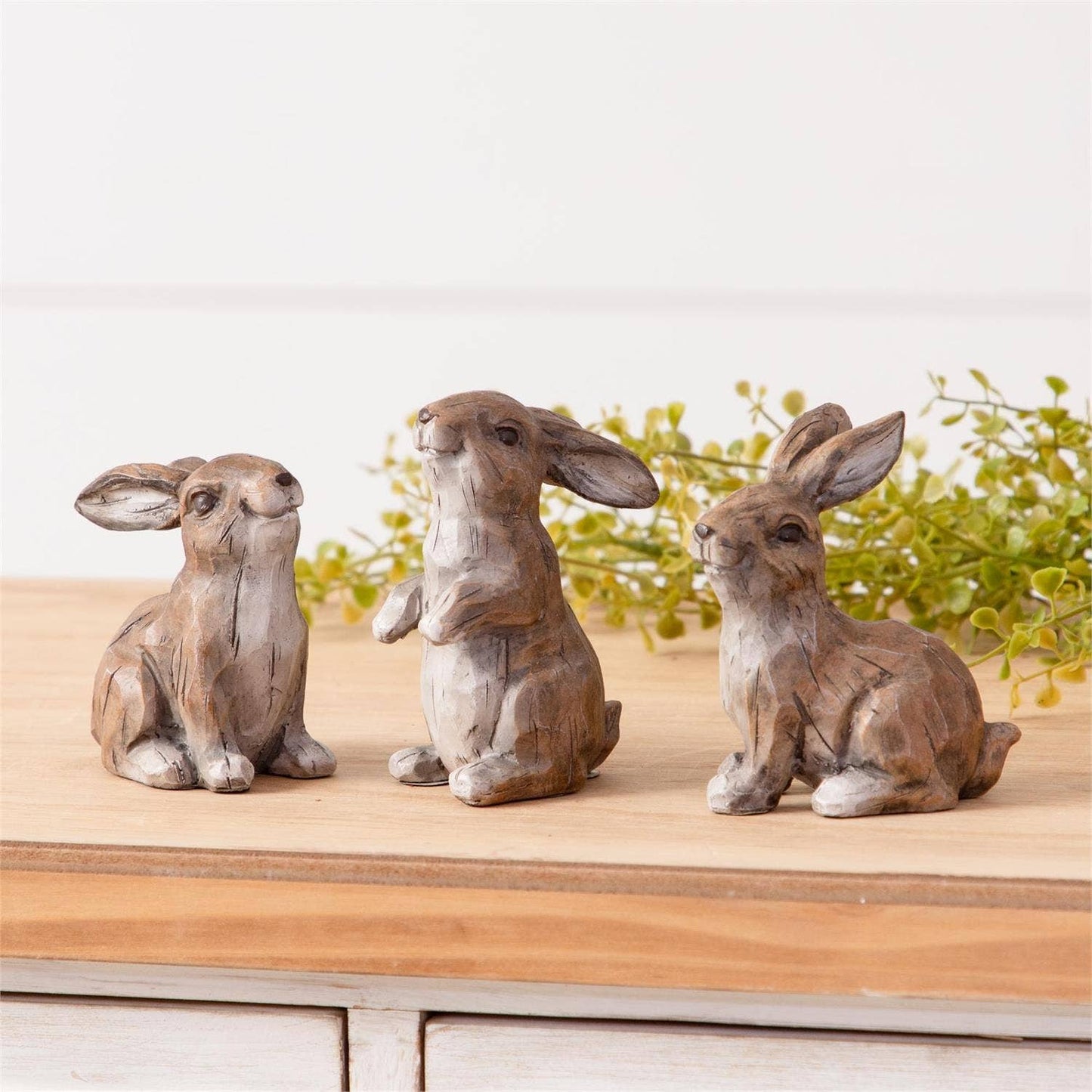 Mini Wild Rabbits