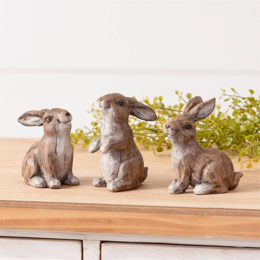 Mini Wild Rabbits
