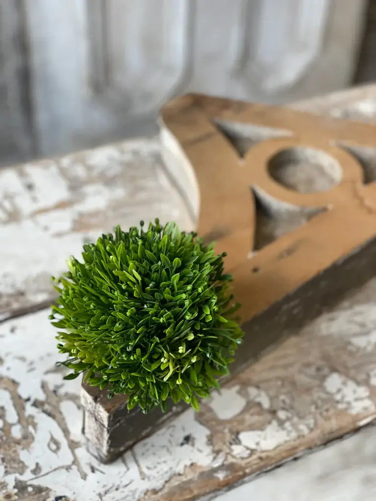 Seed Head Half Sphere | 5.5" Greenery Home Decor