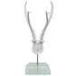 White Antler on  Double Glass Base