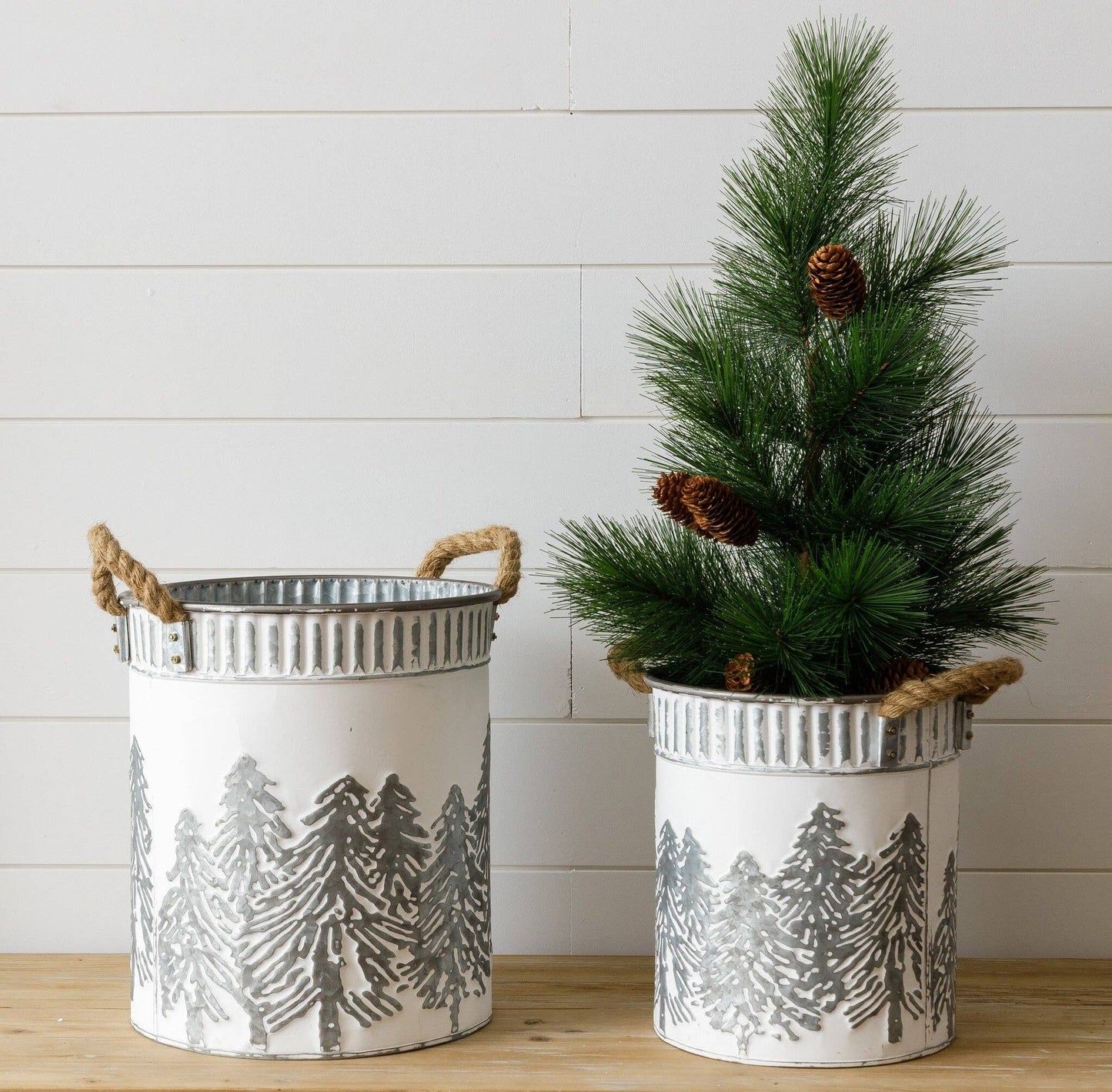 Metal Buckets - Embossed Trees