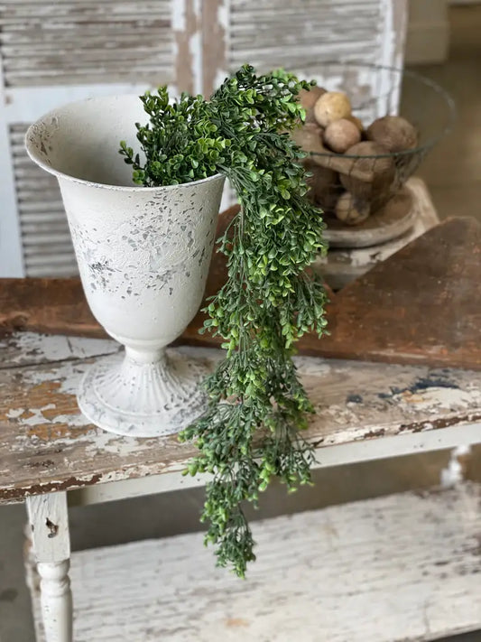 Richland Boxwood Hanging Plant