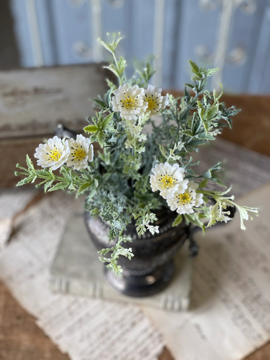 Beulah's Banks Bush with Cream & Yellow Flowers