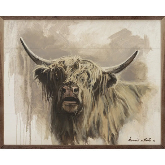 Highland Bull Picture